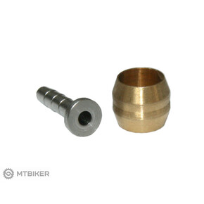 Nunc congue dui nec...