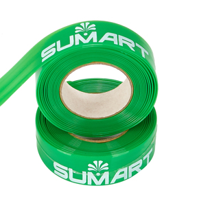 Nunc congue dui nec...