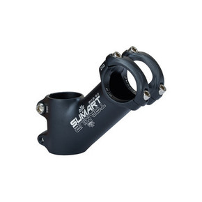 Nunc congue dui nec...