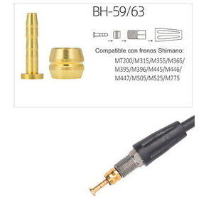 Nunc congue dui nec...