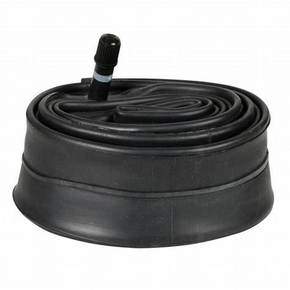 Nunc congue dui nec...