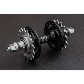 Nunc congue dui nec...