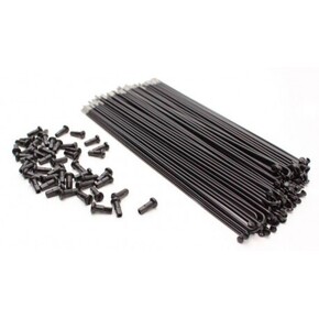 Nunc congue dui nec...