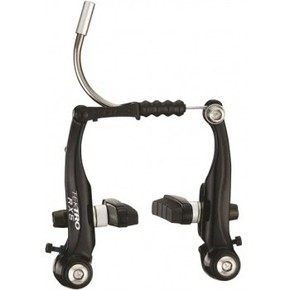 Nunc congue dui nec...