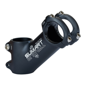 Nunc congue dui nec...